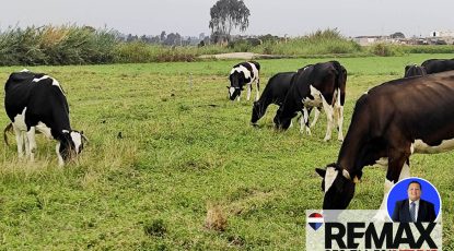 Se vende terreno de campo en Pisco