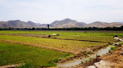 SE VENDE TERRENO EN SAN ANTONIO DE MALA CAÑETE